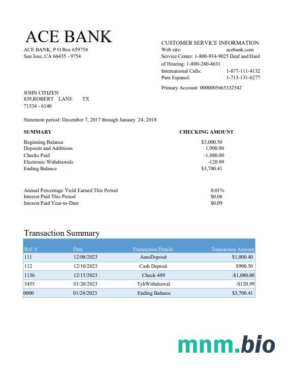 USA ACE wyciąg bankowy szablon Worda i PDF scr
